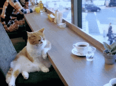 Morning Beautiful People GIF