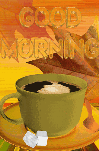 Morning Bonjour GIF