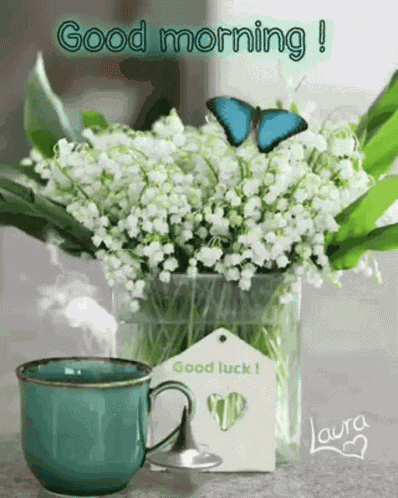 Morning Coffee GIF