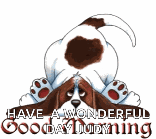 Morning Dog GIF