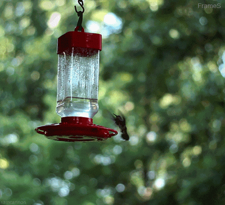 Morning For Frames GIF