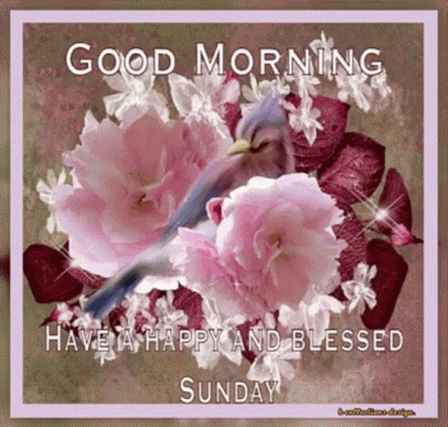 Morning Good GIF