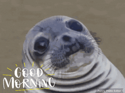 Morning Good Morning GIF