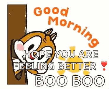 Morning Good Morning GIF