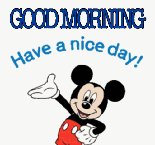 Morning Good Morning GIF