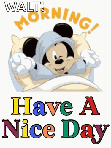 Morning Good Morning GIF