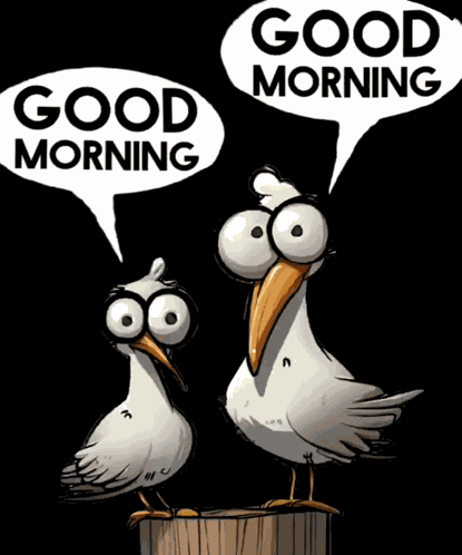 Morning Good Morning GIF