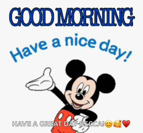 Morning Good Morning GIF