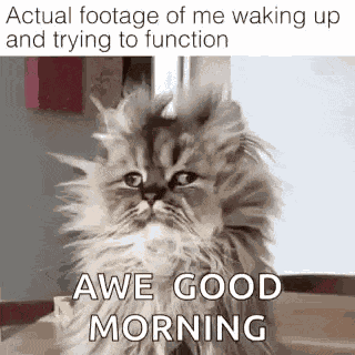 Morning Good GIF