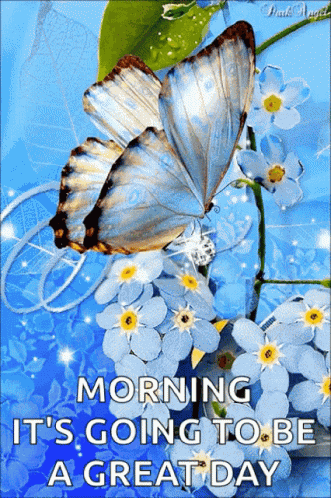 Morning Great Day GIF