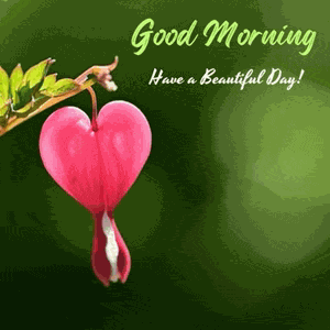 Morning Greetings Saturday Morning Greetings Meme