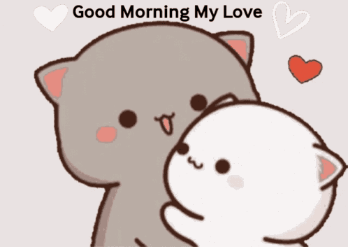Morning GIF