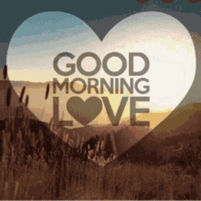 Morning Love GIF