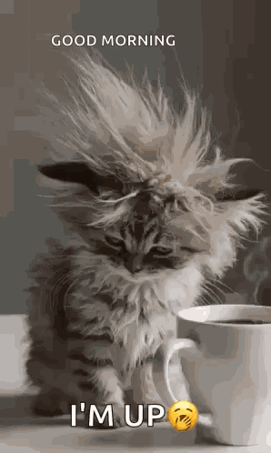 Morning Morning Coffee GIF