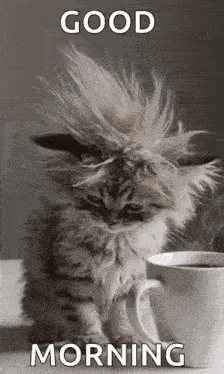 Morning Morning Coffee GIF