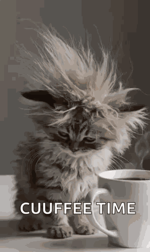 Morning Morning Coffee GIF