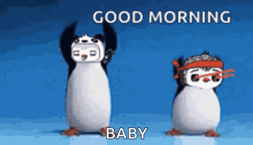 Morning Penguin GIF