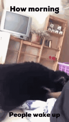 Morning People GIF