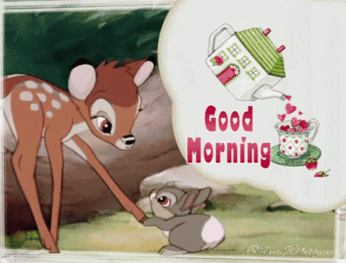 Morning Vec50 GIF