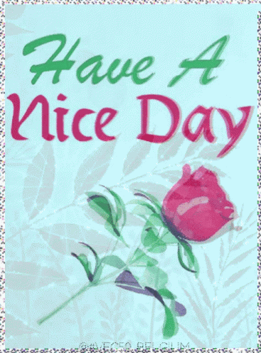 Morning Vec50 GIF