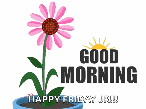 Morning GIF