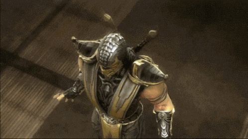 Mortal Kombat Mk9 GIF