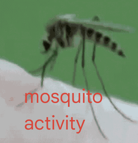 Mosquito Activity GIF