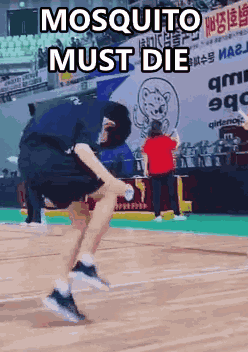 Mosquito Die Musquito GIF