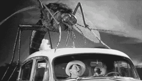 Mosquito Giant GIF
