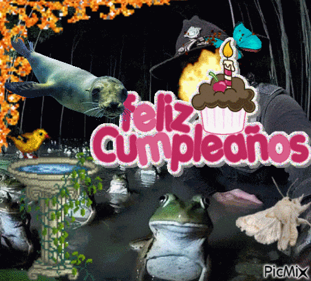 Moth Frog GIF