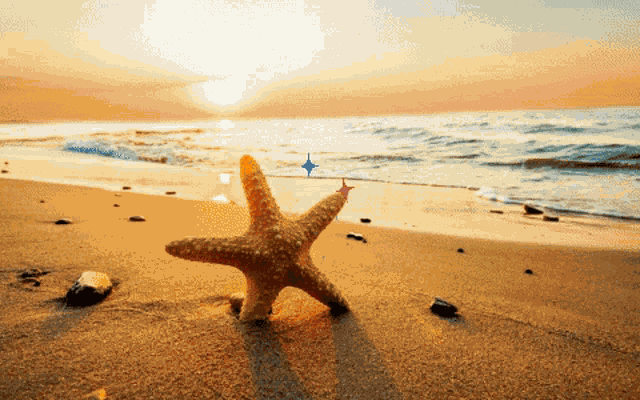 Motivation Inspirational Quotes GIF