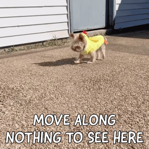 Move Along GIF
