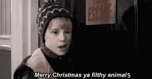 Movies Home Alone GIF