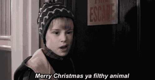 Movies Home Alone GIF