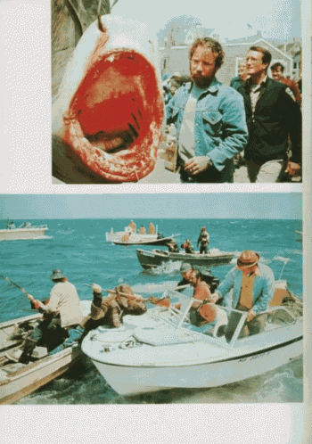 Movies Jaws GIF
