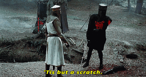Movies Monty Python And The Holy Grail GIF