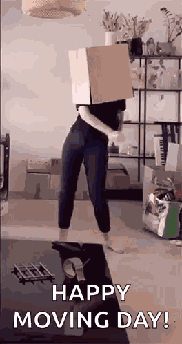Moving Day Packing GIF