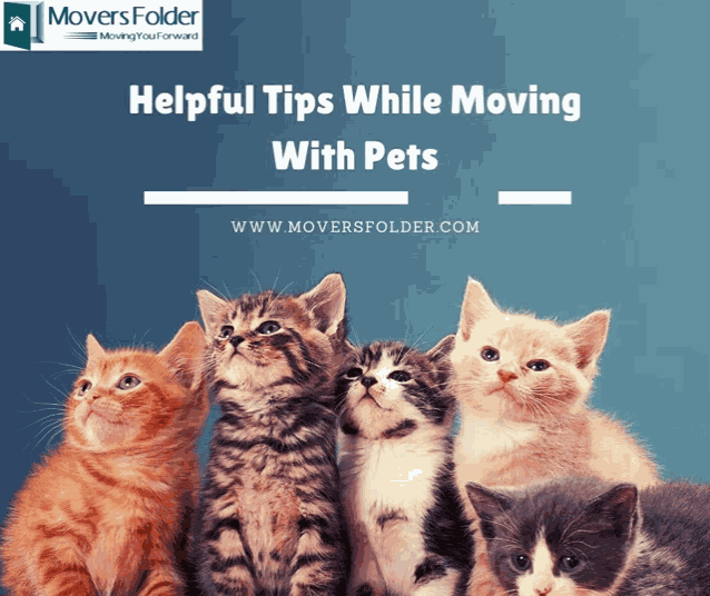 Moving With Pet Animals Meme