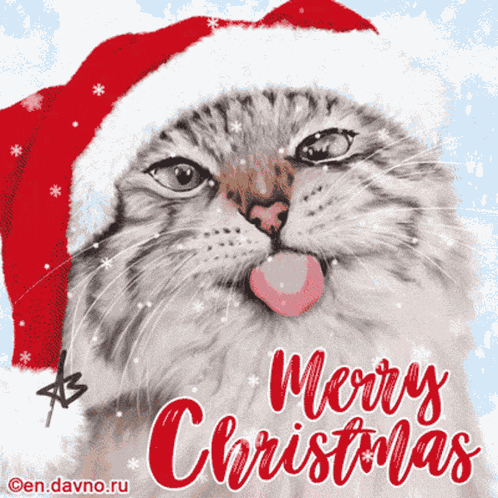 Mowwy Christmas Cat GIF
