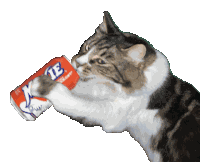 Moxie Rocket Sticker