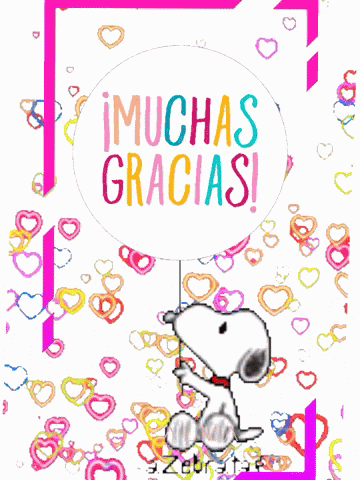 Muchas Gracias GIF