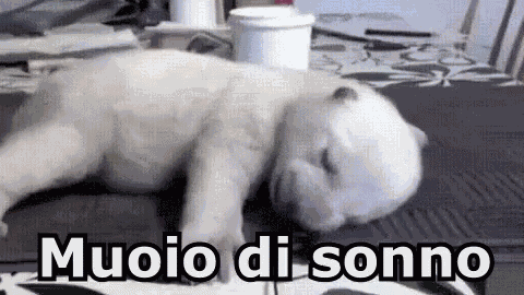 Muoio Sonno Morto Di Sonno Dormire Cane GIF