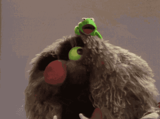 Muppet Show Muppets GIF