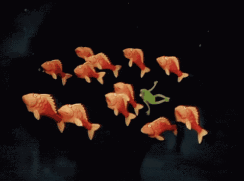 Muppet Show Muppets GIF