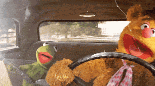 Muppets GIF