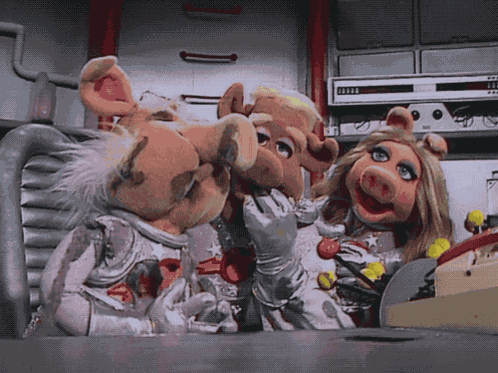 Muppets Muppet Show GIF
