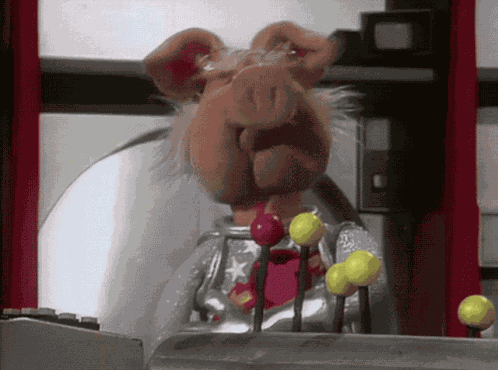 Muppets Muppet Show GIF