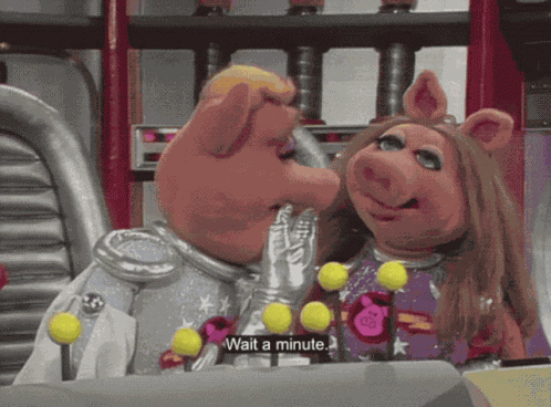 Muppets Muppet Show GIF