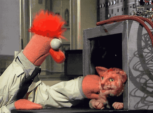 Muppets Muppet Show GIF