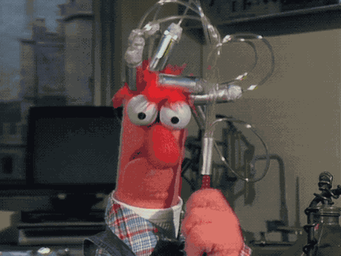 Muppets Muppet Show GIF